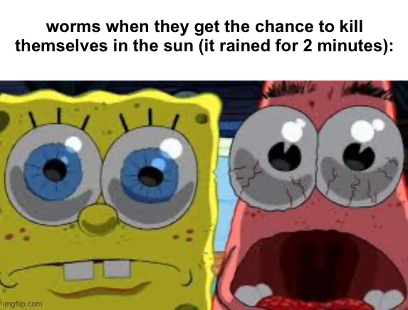 spongebob and patrick staring | worms when they get the chance to kill themselves in the sun (it rained for 2 minutes): | image tagged in spongebob and patrick staring | made w/ Imgflip meme maker