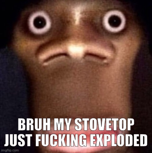 Should i tell the story | BRUH MY STOVETOP JUST FUCKING EXPLODED | image tagged in bruh | made w/ Imgflip meme maker