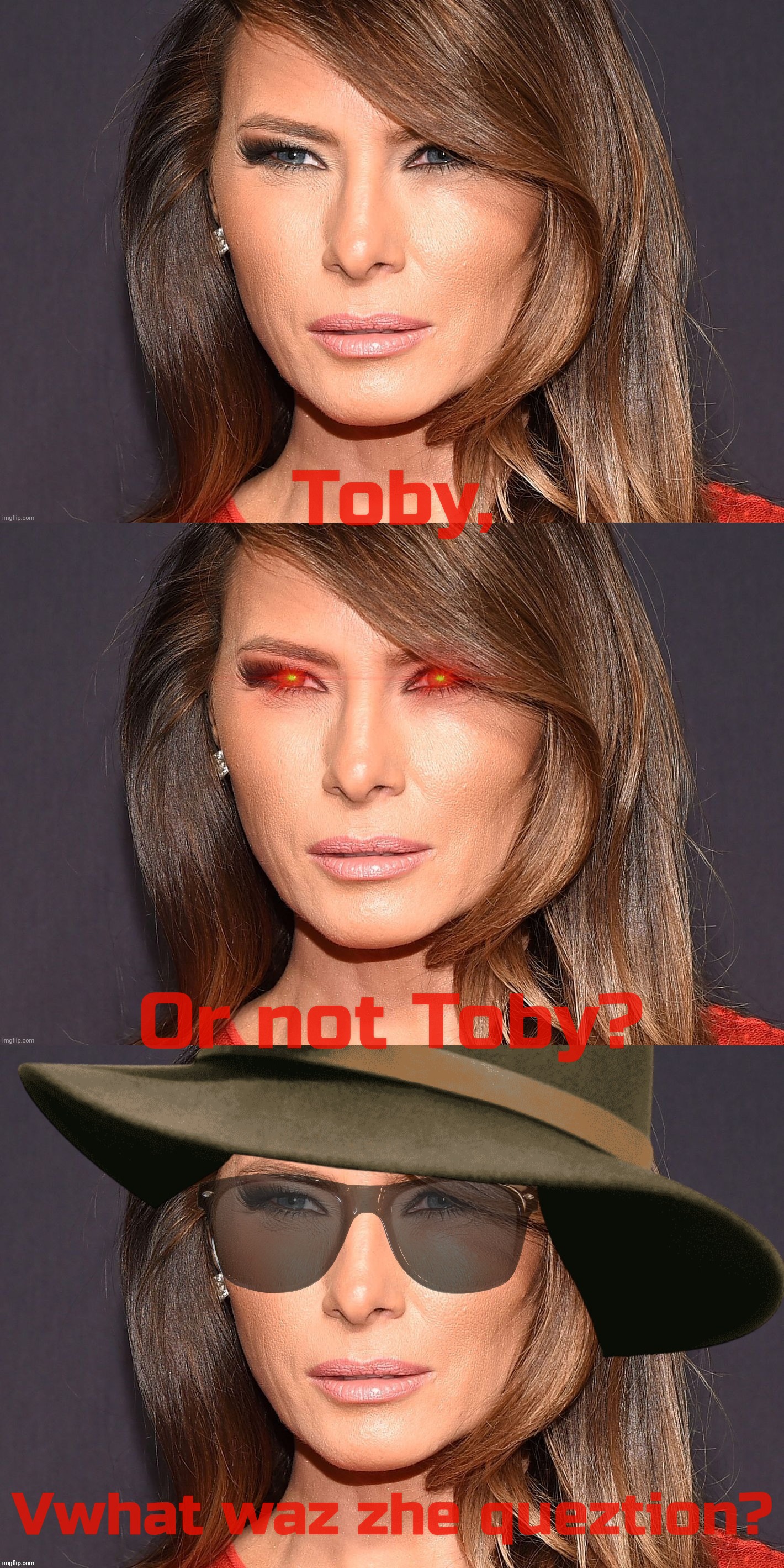 Incognito Guy go bye bye,,, | Toby, Or not Toby? Vwhat waz zhe queztion? | image tagged in melania trump incognito,melania trump | made w/ Imgflip meme maker