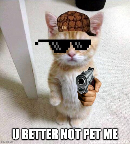 Cute Cat | U BETTER NOT PET ME | image tagged in memes,cute cat | made w/ Imgflip meme maker