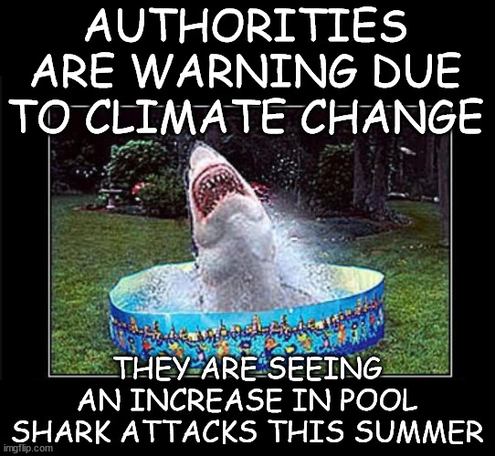 Pool  shark attacks on the rise this summer | AUTHORITIES ARE WARNING DUE TO CLIMATE CHANGE; THEY ARE SEEING AN INCREASE IN POOL SHARK ATTACKS THIS SUMMER | image tagged in dark humour,climate change,increase,pool shark attacks | made w/ Imgflip meme maker