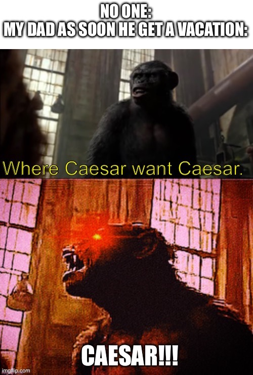 As soon they no longer work, you’re their temporary “assistant” | NO ONE:
MY DAD AS SOON HE GET A VACATION: | image tagged in where caesar want caesar koba dtpta,planet of the apes,relatable | made w/ Imgflip meme maker