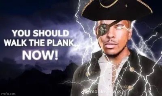 YOU SHOULD WALK THE PLANK... NOW! | image tagged in you should walk the plank now | made w/ Imgflip meme maker