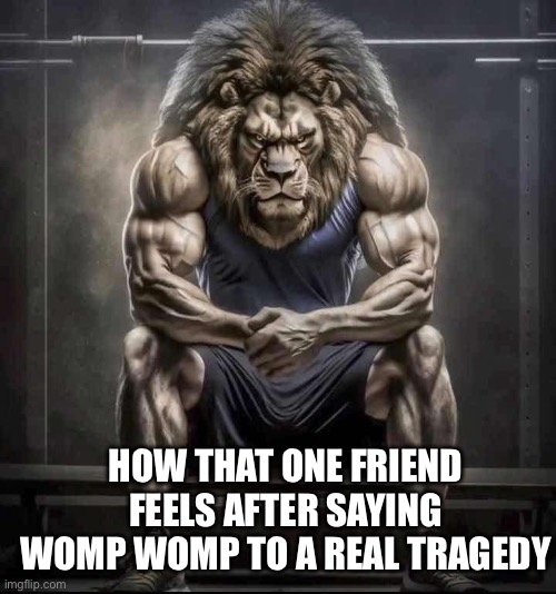 Also bro when you don’t care about their drama: | HOW THAT ONE FRIEND FEELS AFTER SAYING WOMP WOMP TO A REAL TRAGEDY | image tagged in how bro felt after saying that,womp womp,friends | made w/ Imgflip meme maker