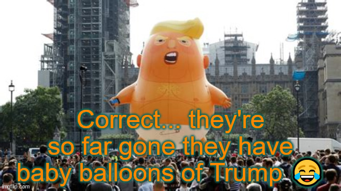 Correct... they're so far gone they have baby balloons of Trump ? | made w/ Imgflip meme maker