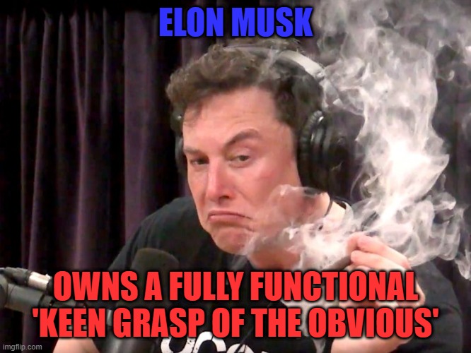Elon Musk Weed | ELON MUSK OWNS A FULLY FUNCTIONAL 'KEEN GRASP OF THE OBVIOUS' | image tagged in elon musk weed | made w/ Imgflip meme maker