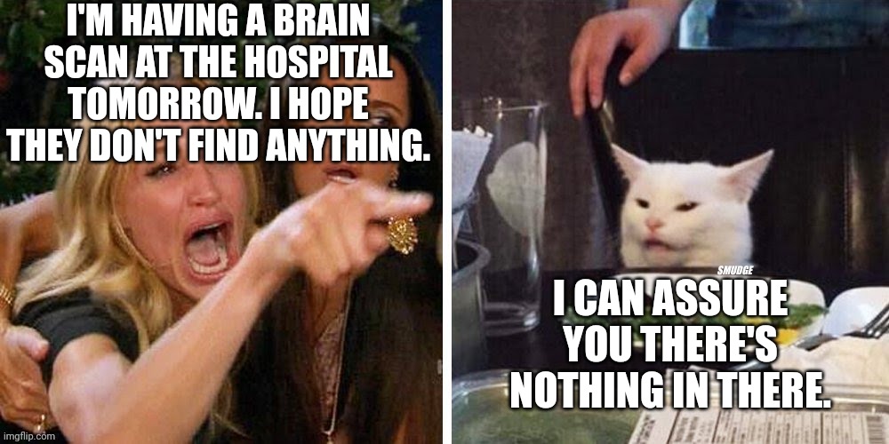 Smudge that darn cat with Karen | I'M HAVING A BRAIN SCAN AT THE HOSPITAL TOMORROW. I HOPE THEY DON'T FIND ANYTHING. I CAN ASSURE YOU THERE'S NOTHING IN THERE. | image tagged in smudge that darn cat with karen | made w/ Imgflip meme maker