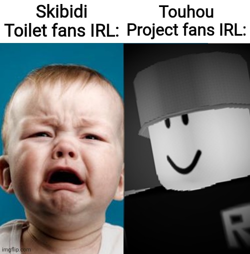 Crybaby VS Robloxian | Skibidi Toilet fans IRL: Touhou Project fans IRL: | image tagged in crybaby vs robloxian | made w/ Imgflip meme maker