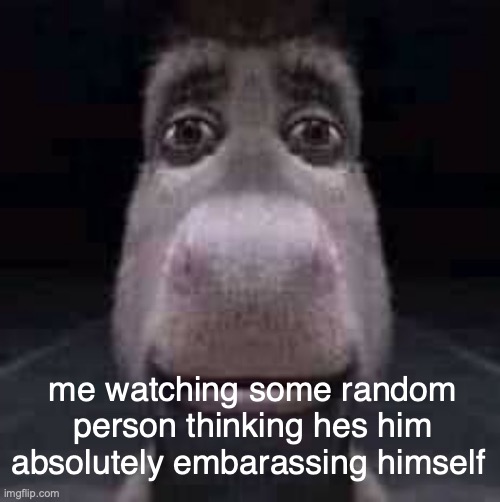 theres so many of these ppl these days this stream is suffering from brainrot i fear | me watching some random person thinking hes him absolutely embarassing himself | image tagged in donkey staring | made w/ Imgflip meme maker