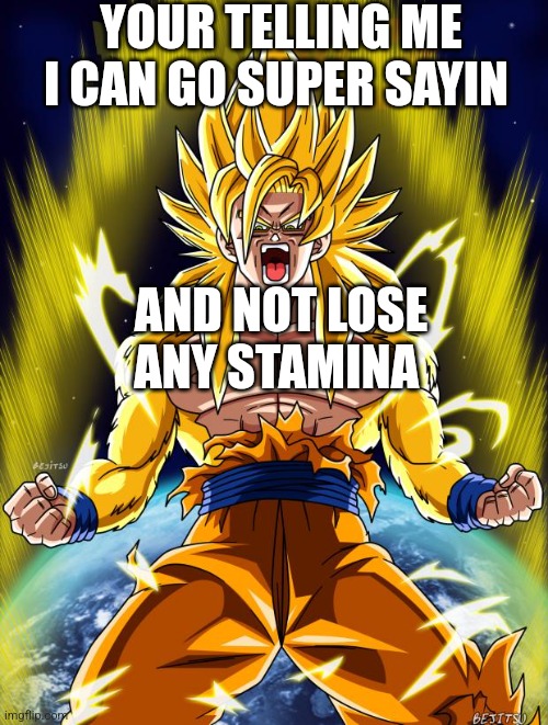 Goku | YOUR TELLING ME I CAN GO SUPER SAYIN AND NOT LOSE ANY STAMINA | image tagged in goku | made w/ Imgflip meme maker
