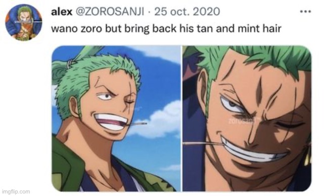 image tagged in zoro,one piece | made w/ Imgflip meme maker