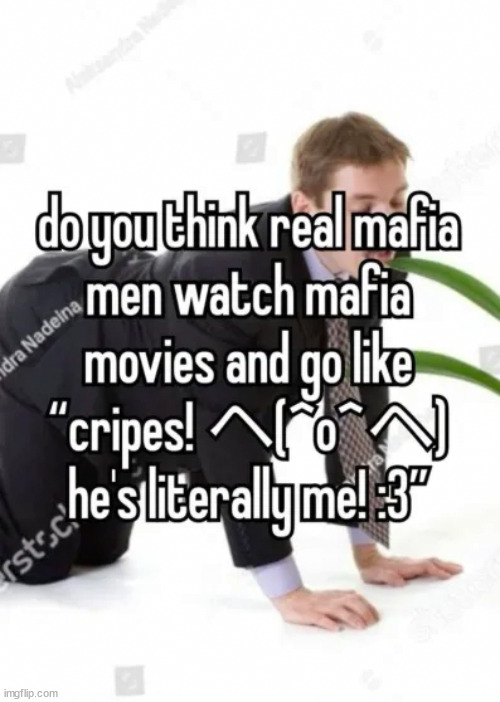 made w/ Imgflip meme maker