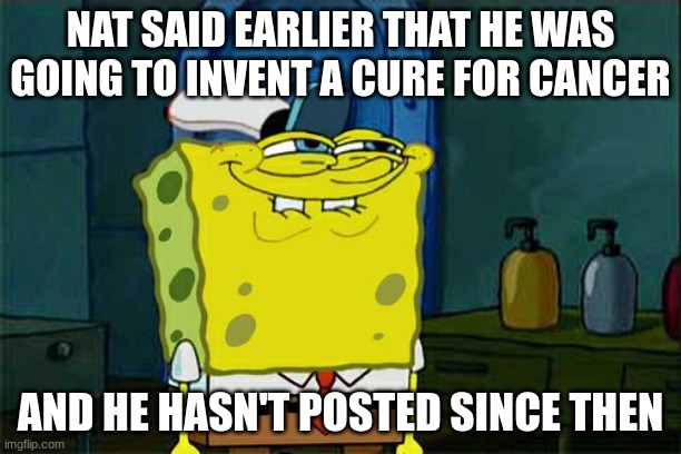 The FBI is always watching. | NAT SAID EARLIER THAT HE WAS GOING TO INVENT A CURE FOR CANCER; AND HE HASN'T POSTED SINCE THEN | image tagged in memes,don't you squidward | made w/ Imgflip meme maker