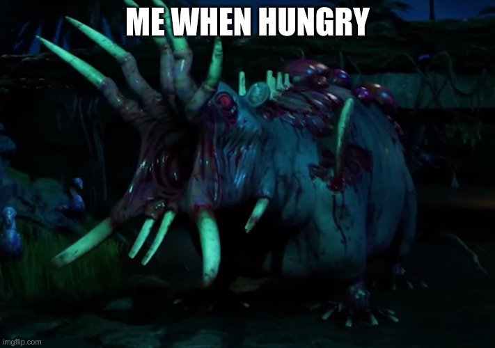 Me | ME WHEN HUNGRY | image tagged in zoochosis hippo | made w/ Imgflip meme maker