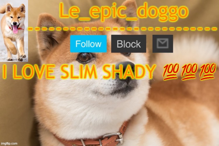 epic doggo's temp back in old fashion | I LOVE SLIM SHADY 💯💯💯 | image tagged in epic doggo's temp back in old fashion | made w/ Imgflip meme maker
