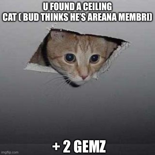 Ceiling Cat | U FOUND A CEILING CAT ( BUD THINKS HE’S AREANA MEMBRI); + 2 GEMZ | image tagged in memes,ceiling cat | made w/ Imgflip meme maker