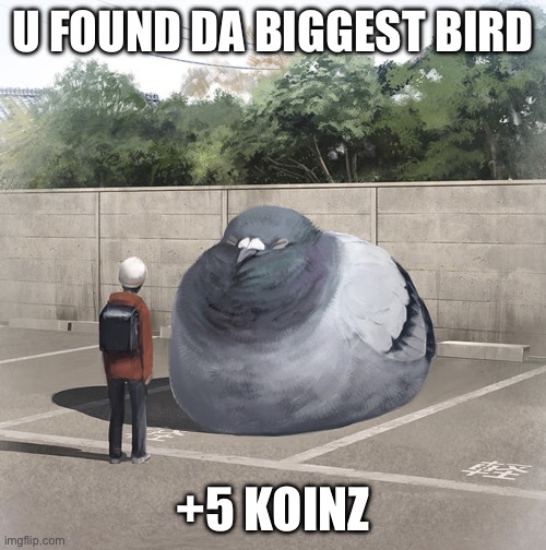 Beeg Birb | U FOUND DA BIGGEST BIRD; +5 KOINZ | image tagged in beeg birb | made w/ Imgflip meme maker