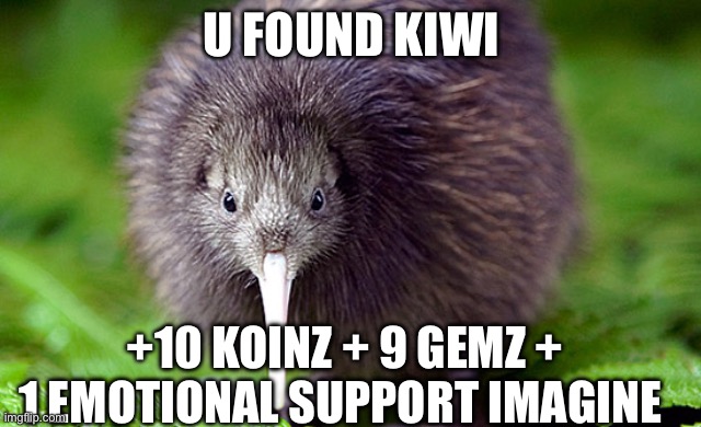 kiwi | U FOUND KIWI; +10 KOINZ + 9 GEMZ + 1 EMOTIONAL SUPPORT IMAGINE | image tagged in kiwi | made w/ Imgflip meme maker