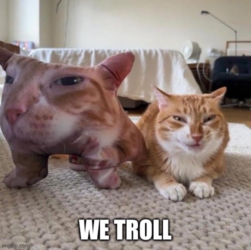 We troll | WE TROLL | made w/ Imgflip meme maker