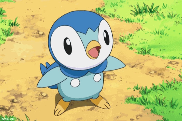 Piplup | image tagged in piplup | made w/ Imgflip meme maker
