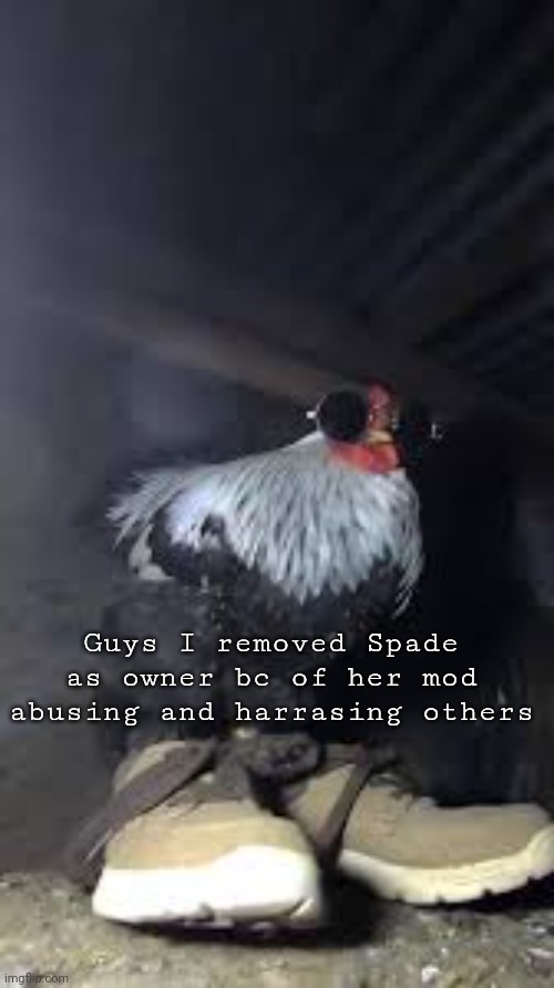 Sally Skellington and others will be co-owners with me | Guys I removed Spade as owner bc of her mod abusing and harrasing others | image tagged in drip chicken sp3x_ | made w/ Imgflip meme maker