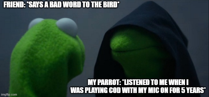 Evil Kermit | FRIEND: *SAYS A BAD WORD TO THE BIRD*; MY PARROT: *LISTENED TO ME WHEN I WAS PLAYING COD WITH MY MIC ON FOR 5 YEARS* | image tagged in memes,evil kermit | made w/ Imgflip meme maker