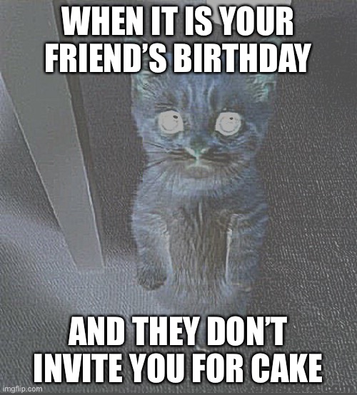 Gay. | WHEN IT IS YOUR FRIEND’S BIRTHDAY; AND THEY DON’T INVITE YOU FOR CAKE | image tagged in memes,cute cat | made w/ Imgflip meme maker