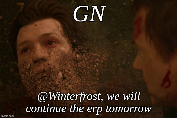 Gn | @Winterfrost, we will continue the erp tomorrow | image tagged in gn | made w/ Imgflip meme maker