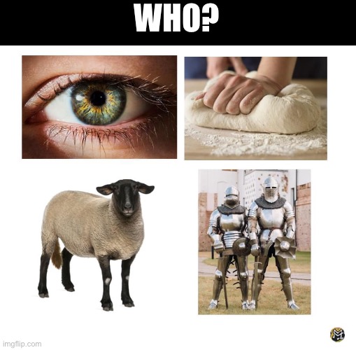 WHO? | image tagged in guess,band | made w/ Imgflip meme maker