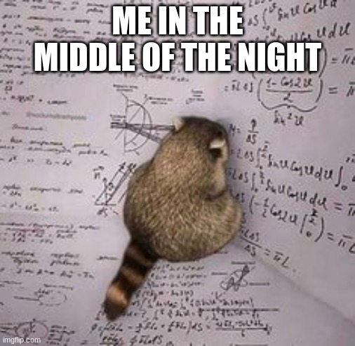 ME IN THE MIDDLE OF THE NIGHT | made w/ Imgflip meme maker