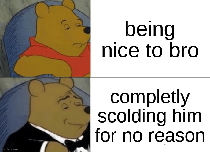 Tuxedo Winnie The Pooh Meme | being nice to bro; completly scolding him for no reason | image tagged in memes,tuxedo winnie the pooh | made w/ Imgflip meme maker