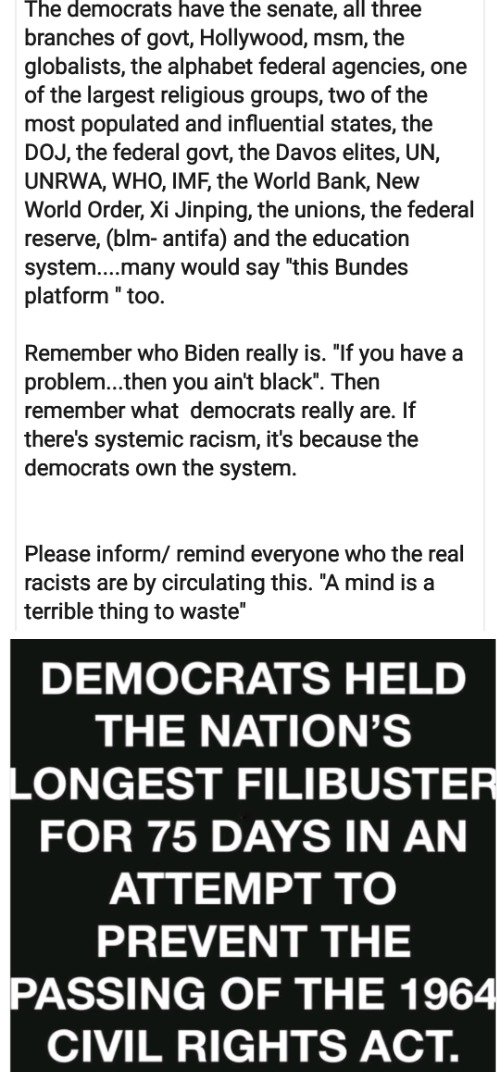Democrats Are The Real Racists | image tagged in democrats are the real racists | made w/ Imgflip meme maker