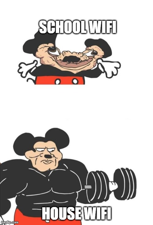 too real | SCHOOL WIFI; HOUSE WIFI | image tagged in buff mickey mouse | made w/ Imgflip meme maker