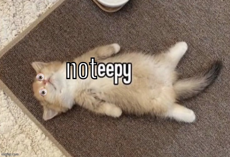 it's 5:30 am and im not tired HELP | not | made w/ Imgflip meme maker