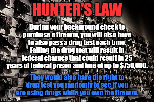 Hunter's Law | HUNTER'S LAW; During your background check to purchase a firearm, you will also have to also pass a drug test each time. Failing the drug test will result in federal charges that could result in 25 years of federal prison and fine of up to $750,000. They would also have the right to drug test you randomly to see if you are using drugs while you own the firearm. | image tagged in hunter biden,guns,background checks | made w/ Imgflip meme maker