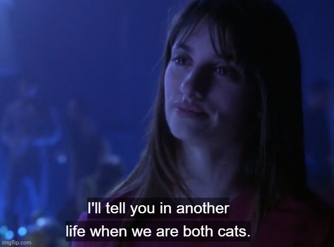 I'll tell you in another life when we are both cats | image tagged in i'll tell you in another life when we are both cats | made w/ Imgflip meme maker