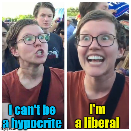 Social Justice Warrior Hypocrisy | I can't be a hypocrite I'm a liberal | image tagged in social justice warrior hypocrisy | made w/ Imgflip meme maker