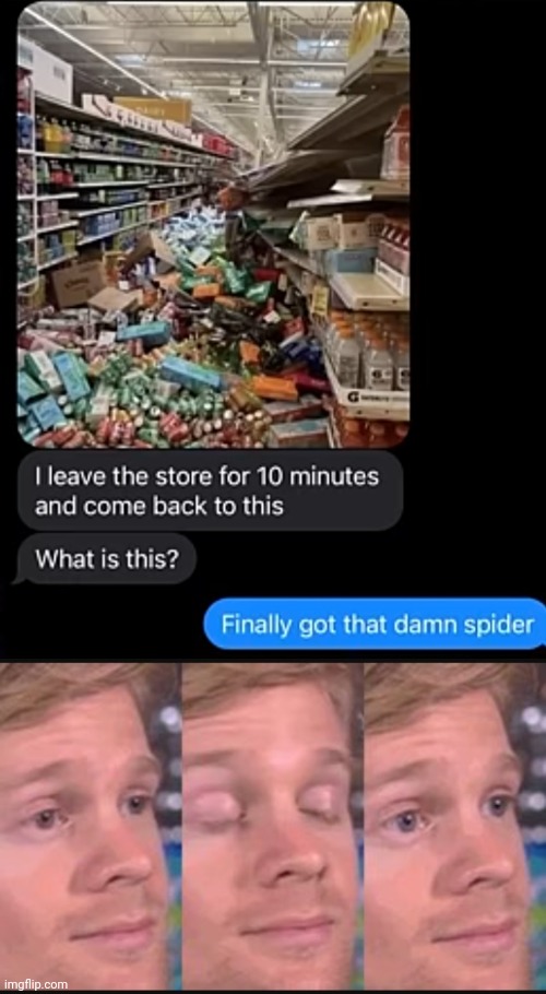 Finally got that damn spider | image tagged in blinking guy,you had one job,funny,memes,funny memes,funny texts | made w/ Imgflip meme maker