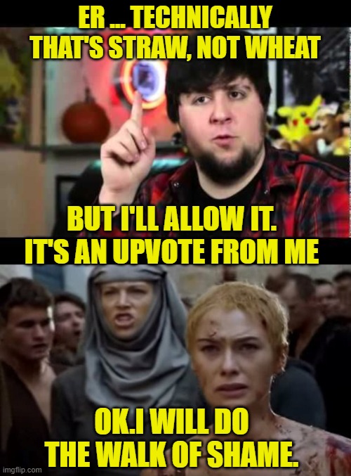 ER ... TECHNICALLY THAT'S STRAW, NOT WHEAT OK.I WILL DO THE WALK OF SHAME. BUT I'LL ALLOW IT. IT'S AN UPVOTE FROM ME | image tagged in jontron i have several questions,game of thrones walk of shame | made w/ Imgflip meme maker