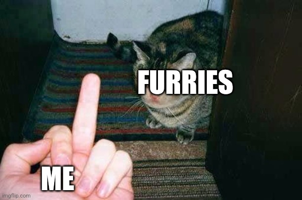 middle finger sad cat | FURRIES; ME | image tagged in middle finger sad cat | made w/ Imgflip meme maker