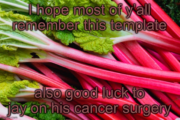 rhubarb | I hope most of y’all remember this template; also good luck to jay on his cancer surgery | image tagged in rhubarb | made w/ Imgflip meme maker