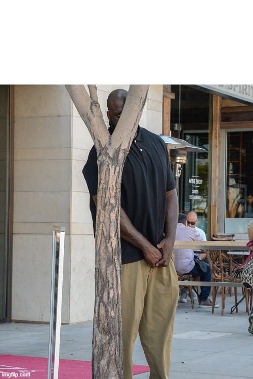 Inconspicuous Shaquille O'neal | image tagged in inconspicuous shaquille o'neal | made w/ Imgflip meme maker