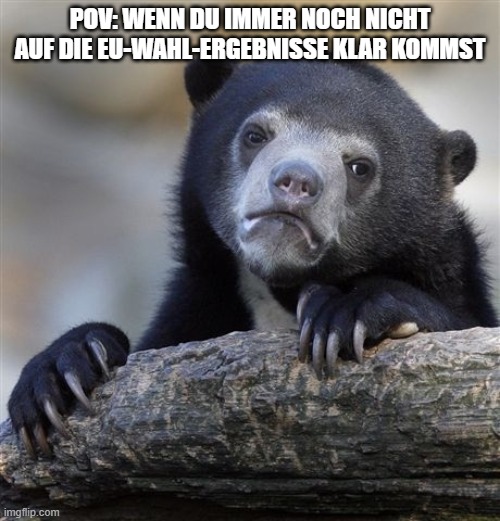 Confession Bear | POV: WENN DU IMMER NOCH NICHT AUF DIE EU-WAHL-ERGEBNISSE KLAR KOMMST | image tagged in memes,confession bear | made w/ Imgflip meme maker