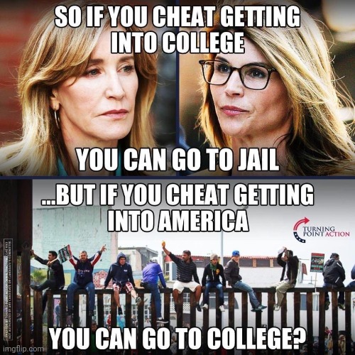 Weird how that works ... | image tagged in immigration,wait thats illegal,college | made w/ Imgflip meme maker