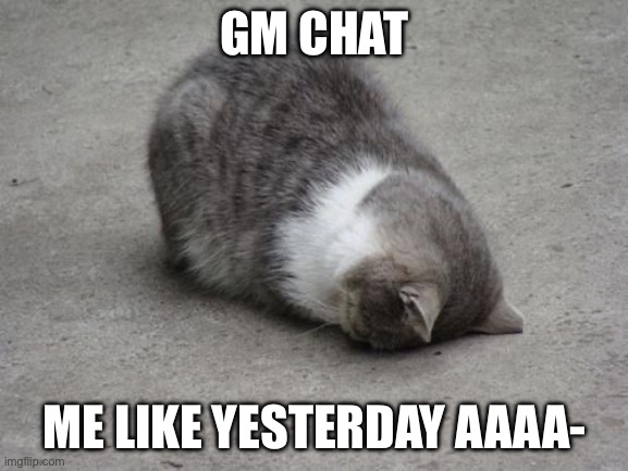 How is everyone doin | GM CHAT; ME LIKE YESTERDAY AAAA- | image tagged in face down cat | made w/ Imgflip meme maker