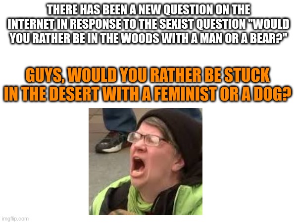 The correct answer is the dog. | THERE HAS BEEN A NEW QUESTION ON THE INTERNET IN RESPONSE TO THE SEXIST QUESTION "WOULD YOU RATHER BE IN THE WOODS WITH A MAN OR A BEAR?"; GUYS, WOULD YOU RATHER BE STUCK IN THE DESERT WITH A FEMINIST OR A DOG? | made w/ Imgflip meme maker