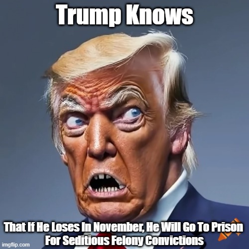 "Trump Knows" | Trump Knows; That If He Loses In November, He Will Go To Prison 
For Seditious Felony Convictions | image tagged in trump,prison,guilty,felon,convict,conviction | made w/ Imgflip meme maker