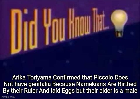 Did you know that... | Arika Toriyama Confirmed that Piccolo Does Not have genitalia Because Namekians Are Birthed By their Ruler And laid Eggs but their elder is a male | image tagged in did you know that | made w/ Imgflip meme maker