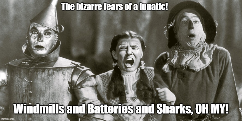 There's no place like the insane asylum! | The bizarre fears of a lunatic! Windmills and Batteries and Sharks, OH MY! | image tagged in donald trump,windmill,batteries,sharks,wizard of oz,oh my | made w/ Imgflip meme maker