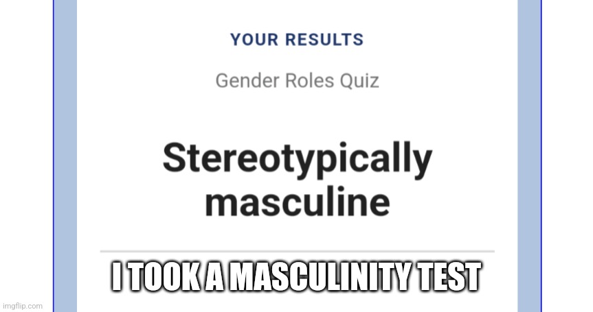 I TOOK A MASCULINITY TEST | image tagged in msmg | made w/ Imgflip meme maker